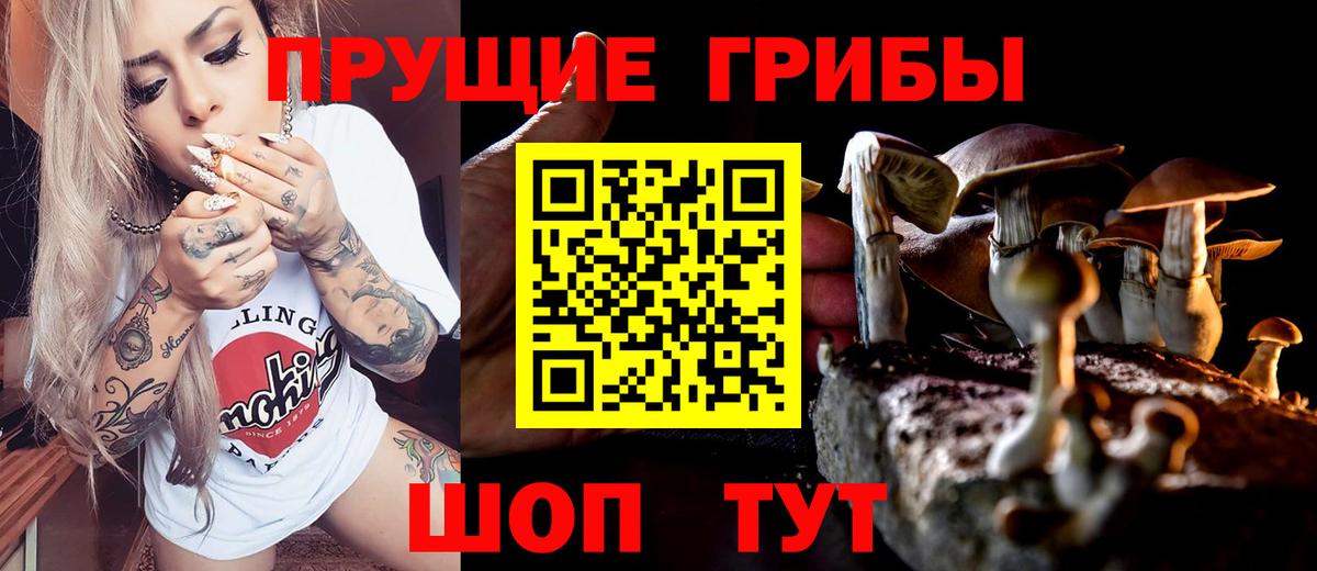 Арзамас  Псилоцибиновые грибы GOLDEN TEACHER  Вход с VPN  Галлюциногенные грибы ЛСД 