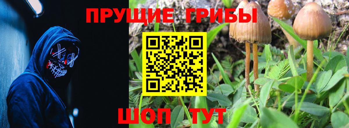 Псилоцибиновые грибы GOLDEN TEACHER Арзамас
